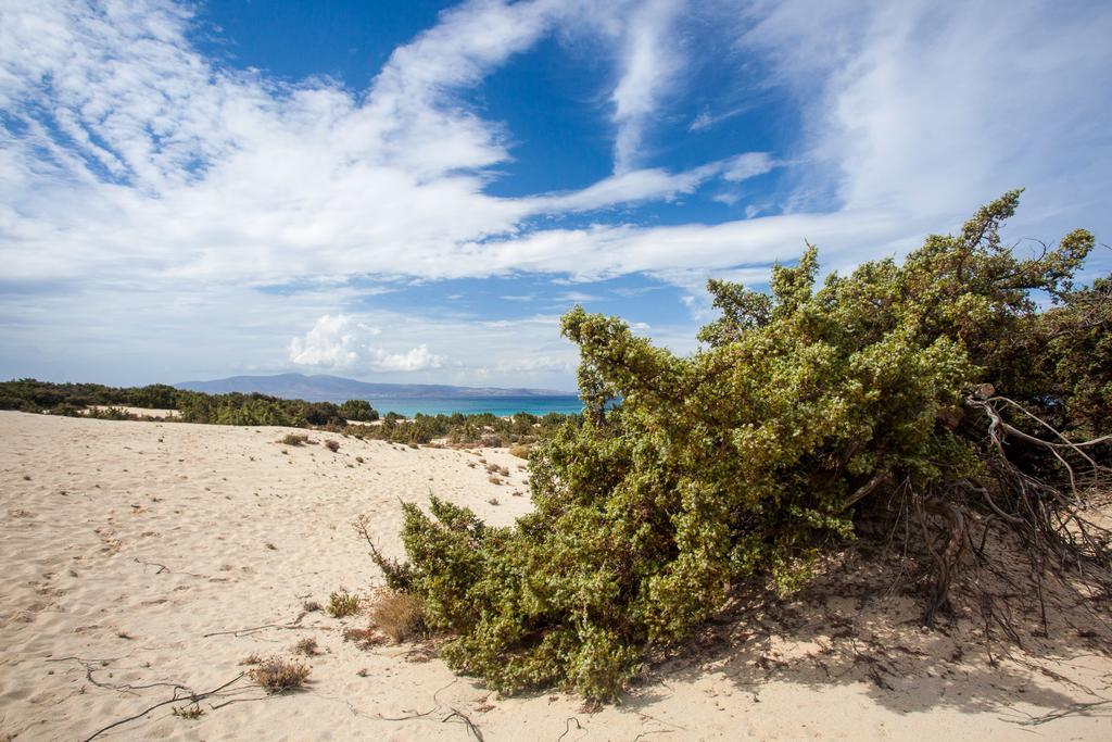 Villa Alyko Aliko Beach Bagian luar foto