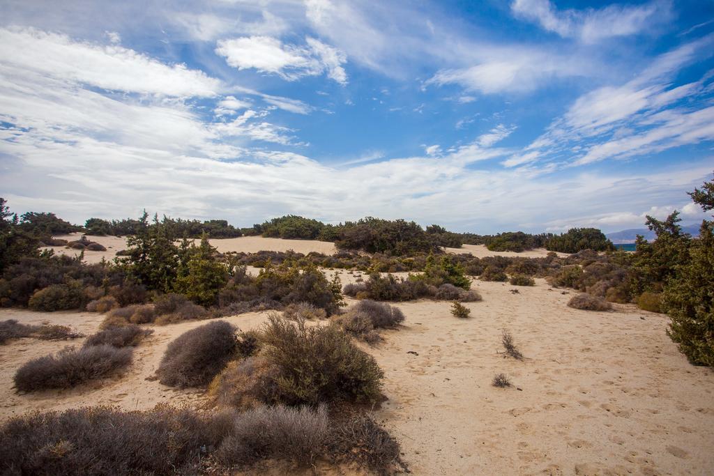 Villa Alyko Aliko Beach Bagian luar foto