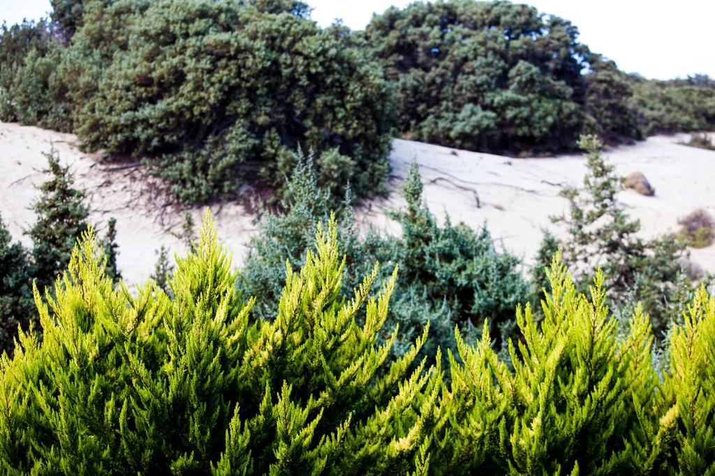 Villa Alyko Aliko Beach Bagian luar foto
