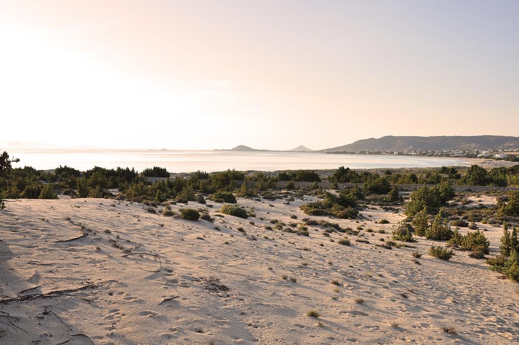 Villa Alyko Aliko Beach Bagian luar foto